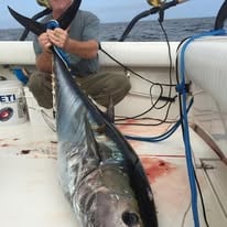 Luxury Offshore Tuna/Shark Trip