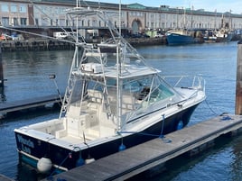 Luxury Offshore Tuna/Shark Trip