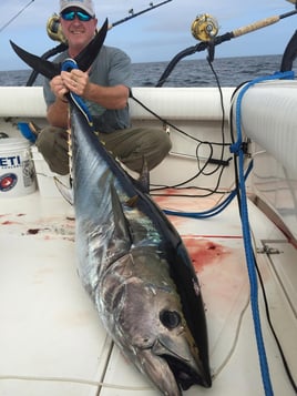 Luxury Offshore Tuna/Shark Trip