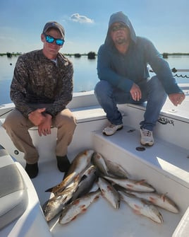 6 Hours Inshore Trip