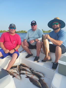 6 Hours Inshore Trip