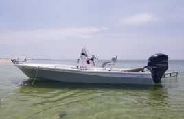 6 Hours Inshore Trip