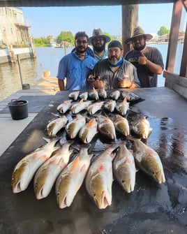 6 Hours Inshore Trip