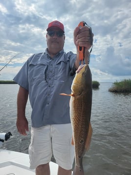 6 Hours Inshore Trip