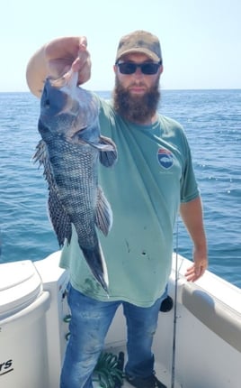 8-12Hour Trip –Nearshore Shark/Tuna