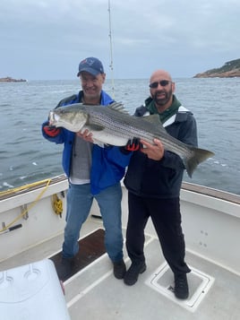 4 Hour – Striped Bass Morning Bite!