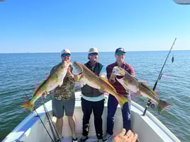 4 Hour Trip – Inshore