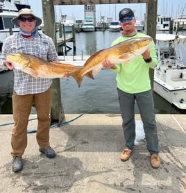 4 Hour Trip – Inshore