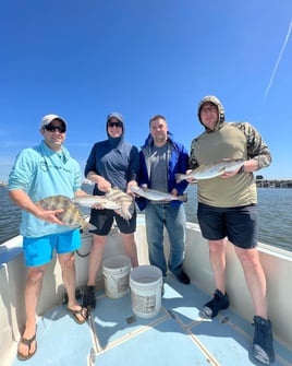 4 Hour Trip – Inshore