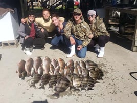 7 Hour Charter Trip Inshore 