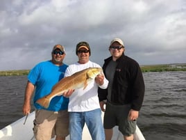 7 Hour Charter Trip Inshore 