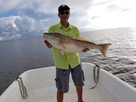 7 Hour Charter Trip Inshore 