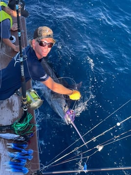 Full Day Offshore Trip