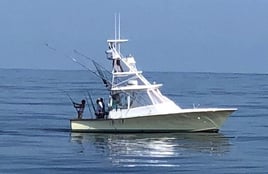 Full Day Offshore Fishing