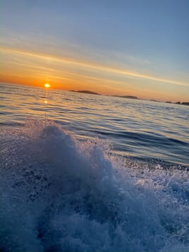 Boston Inshore Fishing
