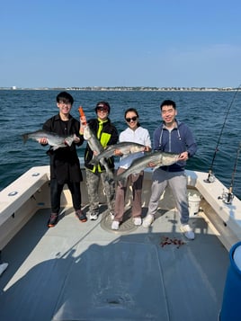 Boston Inshore Fishing