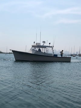 Boston Inshore Fishing