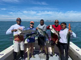Boston Inshore Fishing