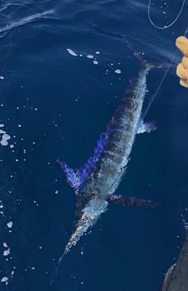 Overnight Charter Trip (Offshore)