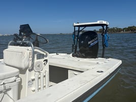 Stuart Inshore Trip
