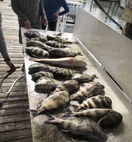 4 Hour-Inshore/Nearshore/Bottom