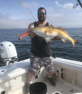 4 Hour-Inshore/Nearshore/Bottom