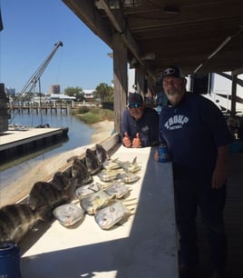 4 Hour-Inshore/Nearshore/Bottom