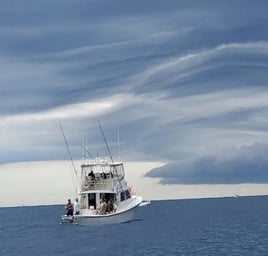 Half/Full Day – Wreck/Bottom Fish