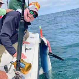 8-12 Hour Trip – Shark Fishing