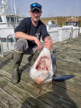 8-12 Hour Trip – Shark Fishing