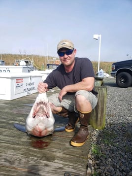 8-12 Hour Trip – Shark Fishing