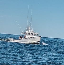 Captains choice 7 A.M. trip