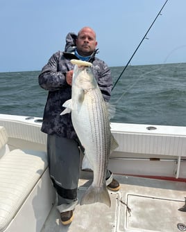 Striped Bass Trip