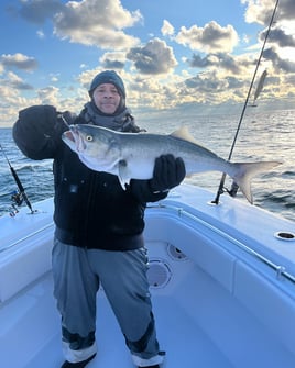 Jersey Shore Inshore Mixed Bag