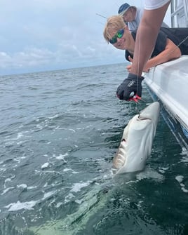 10 Hour - Shark / Bluefin / Mahi