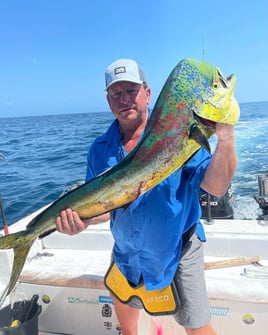 10 Hour - Shark / Bluefin / Mahi