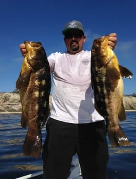 4-6 Hour Trip – Local