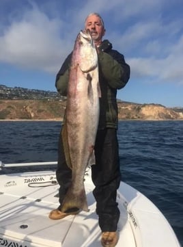 4-6 Hour Trip – Local