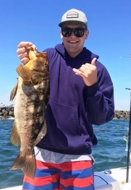 4-6 Hour Trip – Local