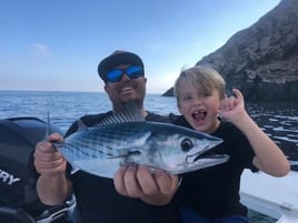 6-8 Hour Trip – Catalina Island
