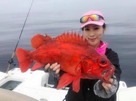 6-8 Hour Trip – Catalina Island