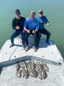 Beat the heat morning 5 hour trip