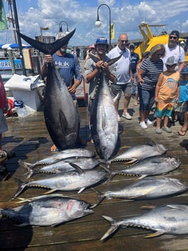 8 hours –  Bluefin Tuna