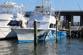 8 hours –  Bluefin Tuna