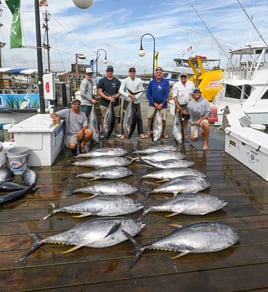 8 hours –  Bluefin Tuna