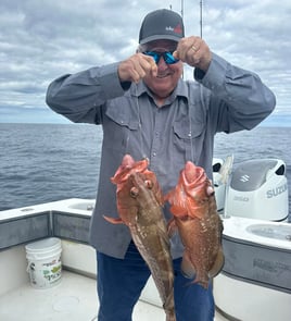 4-8 Hours Offshore - Sea's the Day