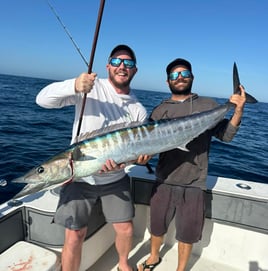 4-8 Hours Offshore - Sea's the Day