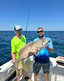 4-8 Hours Offshore - Sea's the Day