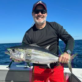 4-8 Hours Offshore - Sea's the Day