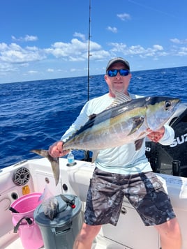 Offshore Bluewater Adventure 